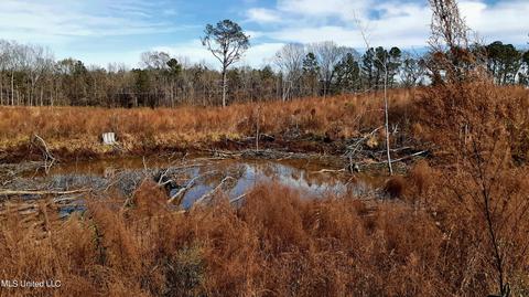 392 Abernathy Rd, Flora, MS 39071 photo 36