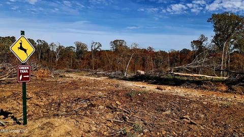 392 Abernathy Rd, Flora, MS 39071 photo 12