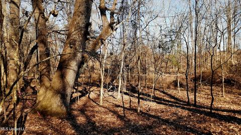 392 Abernathy Rd, Flora, MS 39071 photo 38