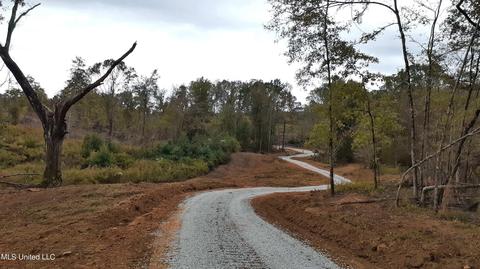 392 Abernathy Rd, Flora, MS 39071 photo 6