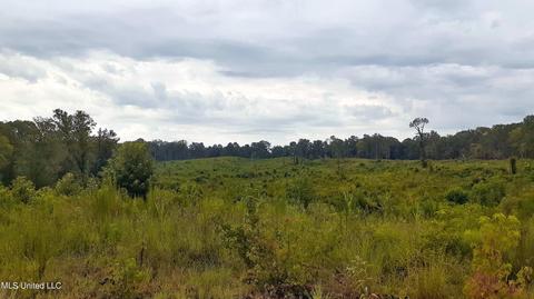 392 Abernathy Rd, Flora, MS 39071 photo 26