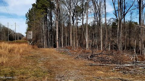 392 Abernathy Rd, Flora, MS 39071 photo 13