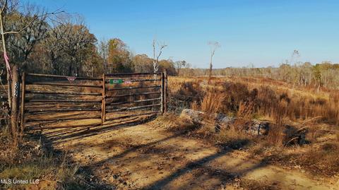 392 Abernathy Rd, Flora, MS 39071 photo 3