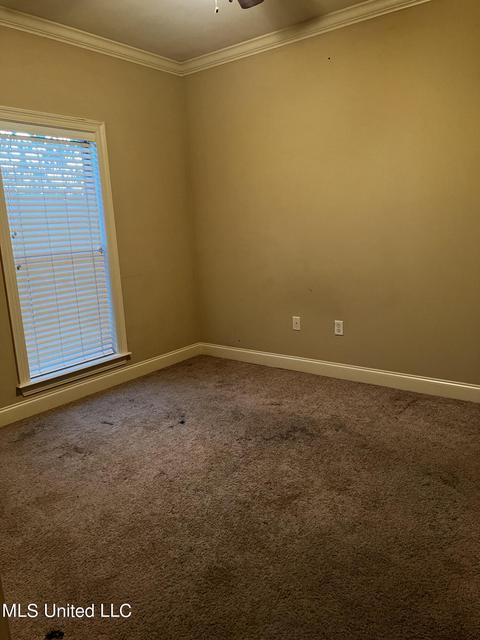 302 Duckworth Pl, Florence, MS 39073 photo 14