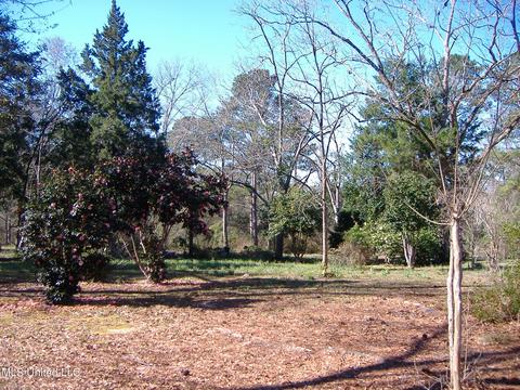 31 Mchenry School Dr, Mchenry, MS 39561 photo 27