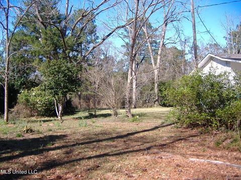 31 Mchenry School Dr, Mchenry, MS 39561 photo 28