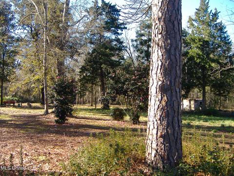 31 Mchenry School Dr, Mchenry, MS 39561 photo 31