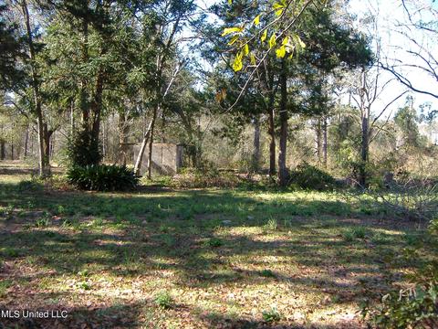 31 Mchenry School Dr, Mchenry, MS 39561 photo 29