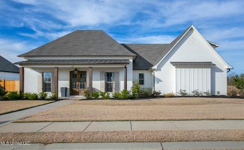 338 River Forest Ln, Brandon, MS 39047 photo 1
