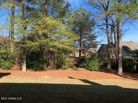 109 Over Look Dr, Brandon, MS 39042 photo 36