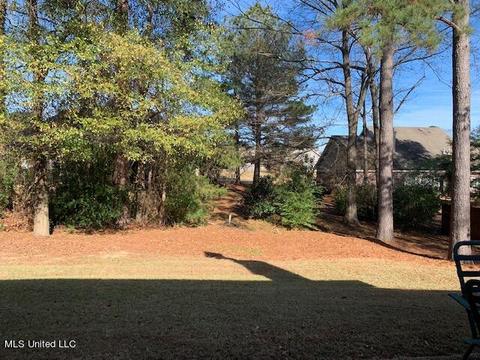 109 Over Look Dr, Brandon, MS 39042 photo 39