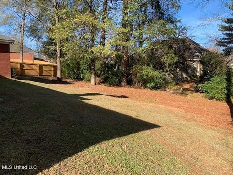 109 Over Look Dr, Brandon, MS 39042 photo 38