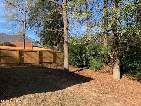 109 Over Look Dr, Brandon, MS 39042 photo 37