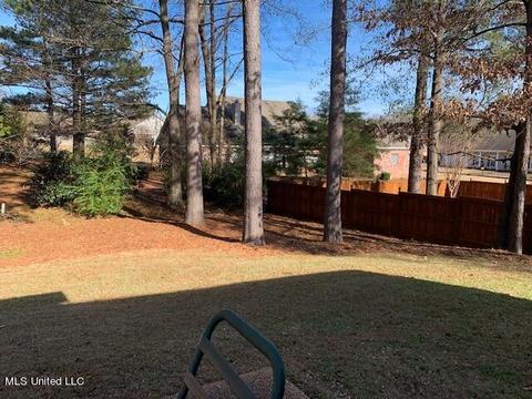 109 Over Look Dr, Brandon, MS 39042 photo 41