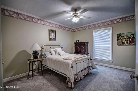 112 Bainbridge Ln, Madison, MS 39110 photo 23
