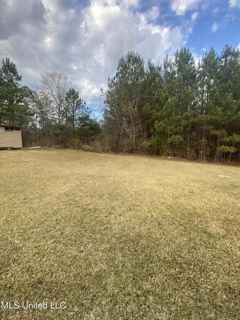 2095 Anderson Rd, Wesson, MS 39191 photo 5