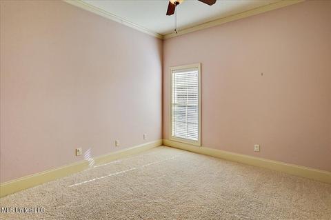 210 Carmichael Blvd, Madison, MS 39110 photo 28