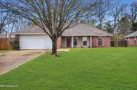 244 Shadow Creek Dr, Florence, MS 39073 photo 1