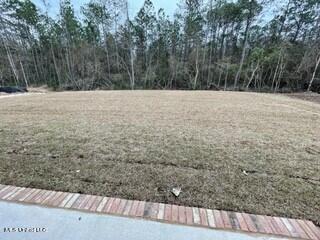 1016 Enclave Cir, Long Beach, MS 39560 photo 21