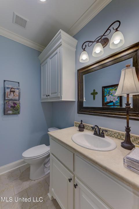 304 Viewpointe Pl, Clinton, MS 39056 photo 23