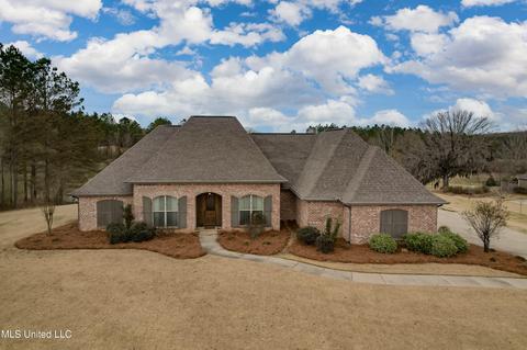 304 Viewpointe Pl, Clinton, MS 39056 photo 3