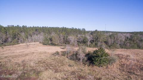 20951 Ms-57, Vancleave, MS 39565 photo 10