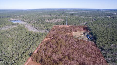 20951 Ms-57, Vancleave, MS 39565 photo 16