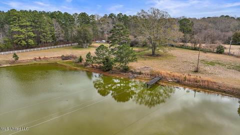 756 Trickhambridge Rd, Brandon, MS 39042 photo 30