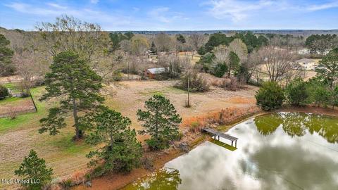 756 Trickhambridge Rd, Brandon, MS 39042 photo 31