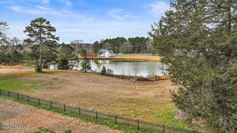 756 Trickhambridge Rd, Brandon, MS 39042 photo 24