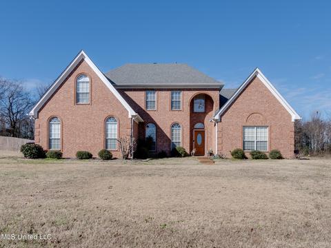 7793 Broken Hickory Dr, Walls, MS 38680 photo 1