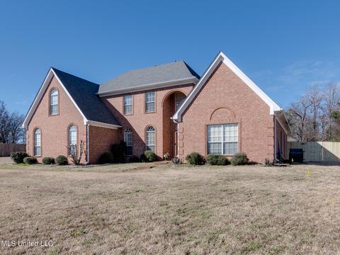 7793 Broken Hickory Dr, Walls, MS 38680 photo 3