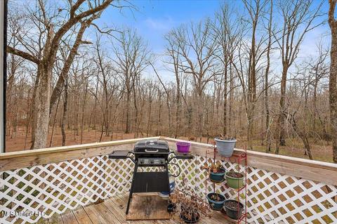 1214 E Flowers Rd, Terry, MS 39170 photo 50