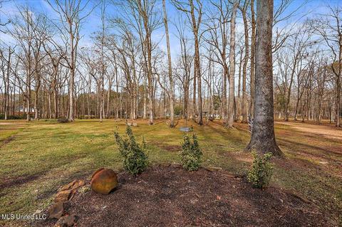 1214 E Flowers Rd, Terry, MS 39170 photo 4