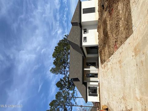 141 Herons Bay Cir, Madison, MS 39110 photo 1