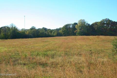9 Como Trace Dr, Senatobia, MS 38668 photo 3