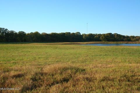 2 Como Trace Dr, Senatobia, MS 38668 photo 5