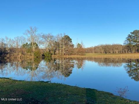 294 Boteler Rd, Florence, MS 39073 photo 34