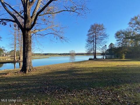 294 Boteler Rd, Florence, MS 39073 photo 39