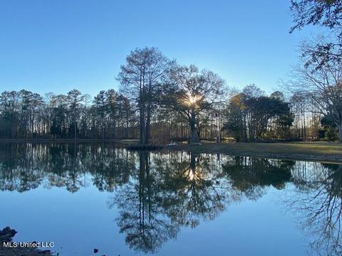 294 Boteler Rd, Florence, MS 39073 photo 35