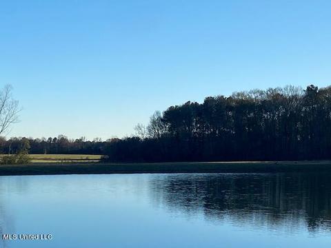 294 Boteler Rd, Florence, MS 39073 photo 30