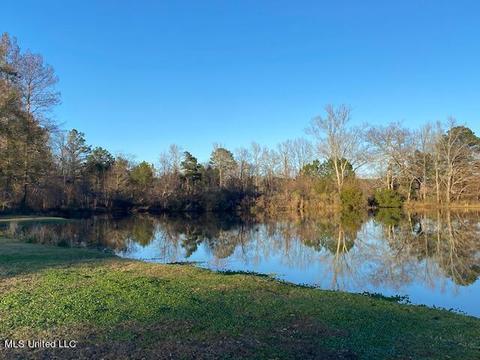 294 Boteler Rd, Florence, MS 39073 photo 33