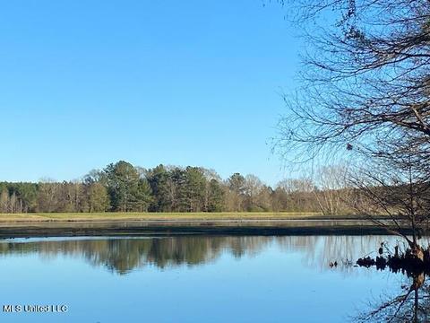 294 Boteler Rd, Florence, MS 39073 photo 55