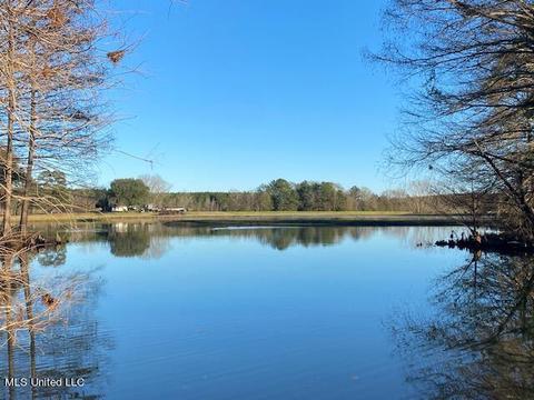 294 Boteler Rd, Florence, MS 39073 photo 54