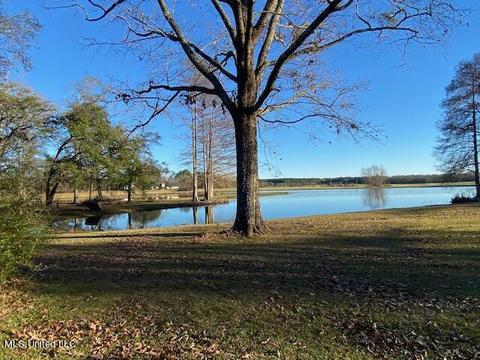 294 Boteler Rd, Florence, MS 39073 photo 38