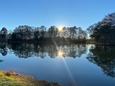 294 Boteler Rd, Florence, MS 39073 photo 2