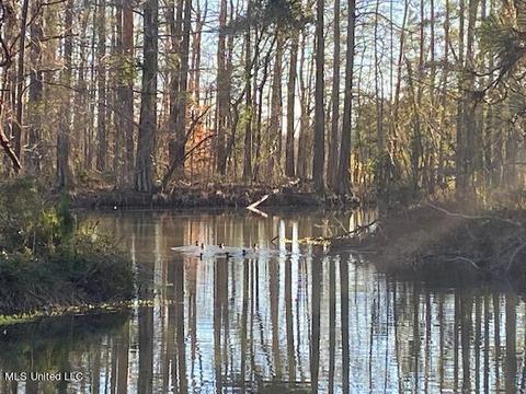 294 Boteler Rd, Florence, MS 39073 photo 51