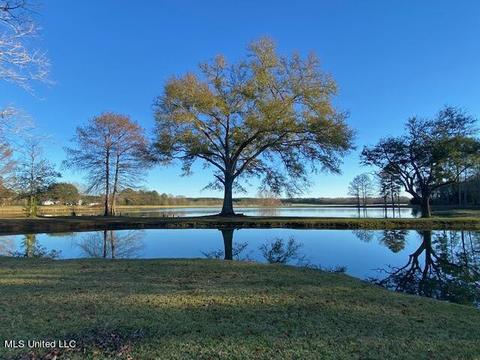 294 Boteler Rd, Florence, MS 39073 photo 45