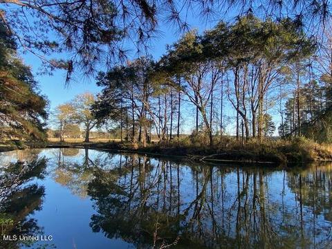 294 Boteler Rd, Florence, MS 39073 photo 52