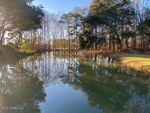 294 Boteler Rd, Florence, MS 39073 photo 47